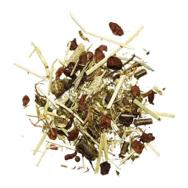 Marstall Gastromusli krma za konje.