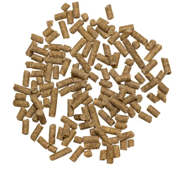 Marstall prehransko dopolnilo za konje Amino Muscel Plus.