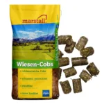 Marstall Wiesen-Cobs