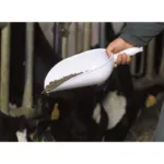 Lopatica zajemalna, 1kg - slika 2