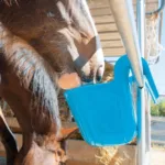 Krmilnik za konje Horizont 13,5 L Turnir Funny - slika 3