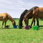 Krmilnik za konje Horizont 13,5 L Turnir Funny - slika 2