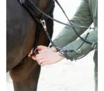 Martingal Kavalkade Everyday - slika 6