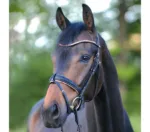 Uzda Kavalkade Rose - slika 2