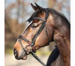 Uzda Kavalkade Everyday - slika 5