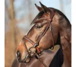 Uzda Kavalkade Everyday - slika 2