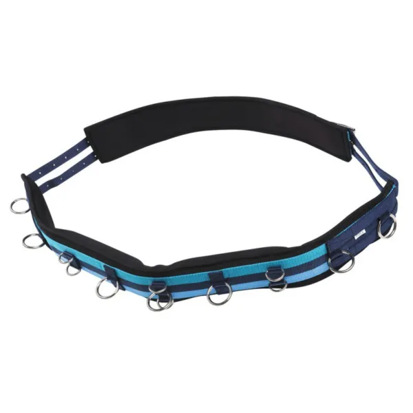 Lonžirni pas Norton Roller.