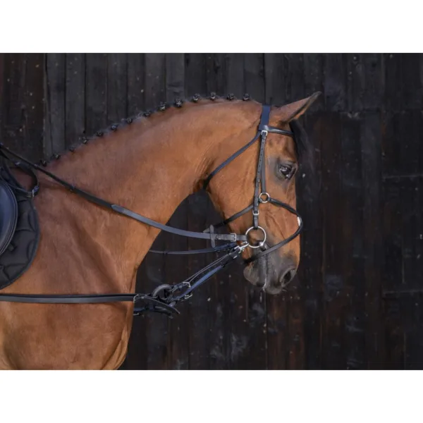 Stranske pomožne vajeti z gumijastimi obročki RW.