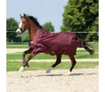 Pregrinjalo Kavalkade Alaska IV 100g