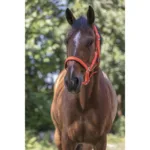 Podložena oglavka Norton Fluo - slika 4