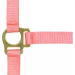 Oglavka za žrebe s povodcem Norton - slika 8