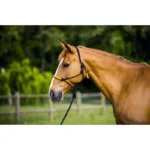 Vrvična oglavka s povodcem ET Fun