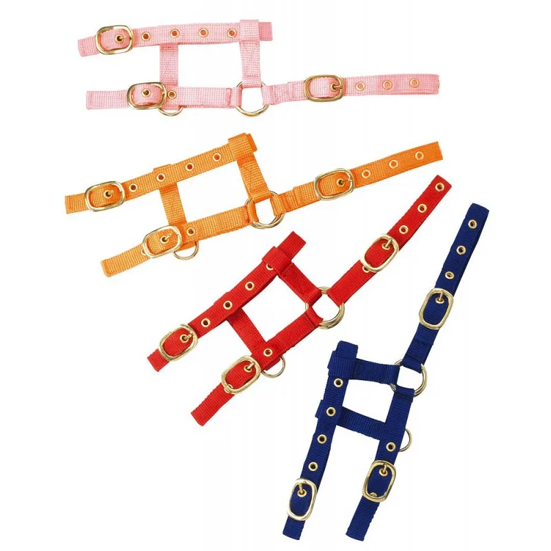 norton-mini-oglavka-za-zrebe Oglavka za žrebeta Norton Mini