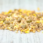 Cavalor Superforce - slika 2