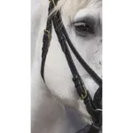 Uzda za hladnokrvne konje Norton - slika 3