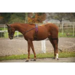 Pripomoček za trening Norton Pulley - slika 2