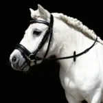 Pony uzda HKM Mini Shetty - slika 4