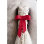 Crvena vrpca za rep: Pazi Udarac!