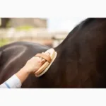 Četka Borstiq Farm Natural Body Brush