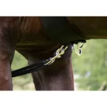 Lonžirni sistem HKM Training 1