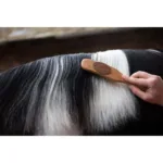 Kratača za grivo in rep Borstiq Ergonomic