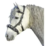 Lonžirna uzda HKM Neopren - slika 2