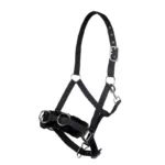 Lonžirna uzda HKM Teddy