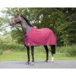 Pregrinjalo za znoj HKM Madrid