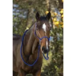 Vrvična oglavka + vajeti Norton Ethological