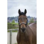 Vrvična oglavka Norton Pearl - slika 3