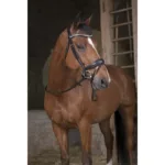 Vajeti Norton PRO Grip