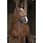 Vajeti Norton PRO Supergrip