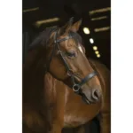 Side Pull uzda Norton Pro Confort