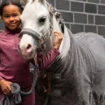 Pregrinjalo ESKADRON Cosy Heritage 23/24 - slika 3