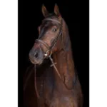 Uzda HKM Jana Brown - slika 3