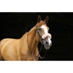 Zaščita za nosnik E-T Teddy - slika 4