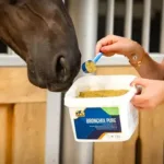 Cavalor Bronchix Pure - slika 2