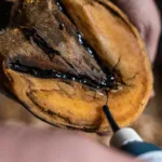 Mustad Hoof Hygiene Liquid - slika 2