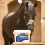 Cavalor Arti Matrix - slika 3