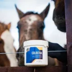 Cavalor Colostra - slika 2