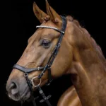 Uzda HKM Pro Anatomic