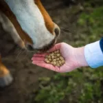 Cavalor Start&Go - slika 2