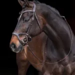 Uzda HKM Anatomic Sports