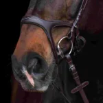 Uzda HKM Anatomic Sports - slika 2