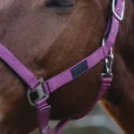 Oglavka za konja E-T Spring - slika 2