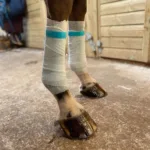 Hladilne bandaže Equi'n'ice - slika 3