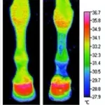 Hladilna tekočina Equi'n'ice Coolant - 1000ml - slika 2