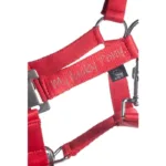 Oglavka HKM Aymee - slika 2