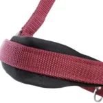 Ular Kavalkade Classic Simple - slika 7