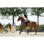 Podsedelnica HKM Elisa - slika 7